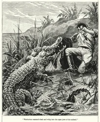 Warburton rammed cloak and whip into the open jaws of the animal